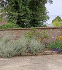 Gîte des Loups.jpg
