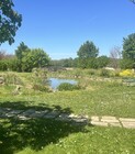 8 - Vue sur le jardin et le bassin.jpg