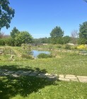 8 - Vue sur le jardin et le bassin.jpg