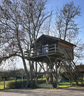 La Cabane Effrénée