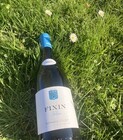 Les Vins d'Auré_Roncenay