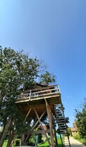 La Cabane Effrénée