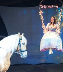 Spectacle équestre « Nahmar » - 2