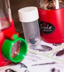 Les petits explorateurs de la Forêt d&rsquo;Orient - 1