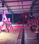 Spectacle équestre “Filoméa” - 3