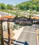 Sequoia Parc – Aire de Camping-cars à Nigloland - 2