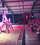 Spectacle équestre « Les contes oubliés » - 2