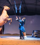 Spectacle équestre « Nahmar » - 1