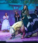 Spectacle équestre « Nahmar » - 4