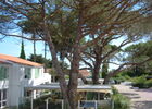 DSCF2689.JPG