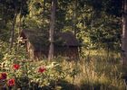 Camping-L'heureux-hasard,-cabane-en-bois,-nature,-forêt,-val-de-Loire,-Cheverny,-zoo-de-Beauval.jpg