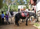 zarlor quiétude à cheval pack 3.jpg