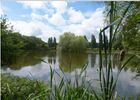 etang.jpg
