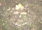 Land art1.JPG