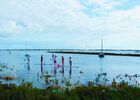 SUP EVASION ile de ré (15).jpg