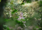 Domaine de Poulaines-8915.jpg