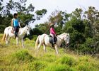 zarlor quiétude à cheval pack 3-3.jpg