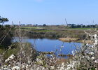 Photo 9.JPG