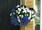 Lemontreehouse-détail-bouquet-sit.jpg