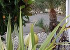 Resized_20180220_160046.jpg