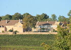 Givry-vins-vignes-septembre-cadole-OT (26).JPG