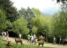 Parc biches.jpg