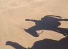 ecuriesdumoulinmoreau-laflotte-iledere-ombres.jpg