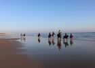 ecuries-du-moulin-moreau-laflotte-iledere-plage.JPG