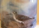 atelierdeverre-oiseau-iledere-4.jpg