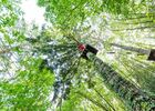 Accrobranche-96 PETIT.jpg