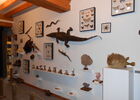 DSCN0036-1.JPG