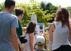 labyrintruche (pw) 9582.jpg