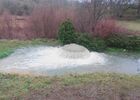 20160214_162054.jpg