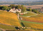 Vignes-Givry-automne-2017-JM (36).JPG