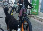 Les vélos de mathilde location vélo ile de ré loc.JPG