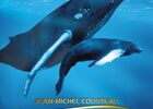 baleines en 3D.jpg