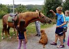 saint-paul-en-gatine-gites-au-cocorico-au-marcassin-equitation.jpg