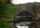 DSCN4528.JPG