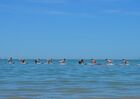 SUP EVASION ile de ré (9).jpg