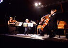Festival_vacances_haydn_musique_chambre_La_Roche_Posay_1.JPG