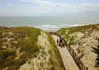 Plage-Camping-LesAmisdelaPlage-LeBoisPlageenRe (1).jpg