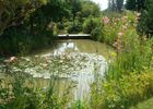 jardin bosselé3.JPG