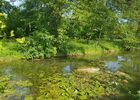 Jardins de la Clouère - Usson du Poitou ©OTVG (1).jpeg