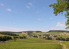 Mercurey-vin-vignes-paysages-vignobles-OT (41).JPG