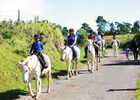 zarlor quiétude à cheval pack 3-2.jpg
