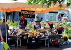Marché-LoixFBC©Norbert-Faureau.jpg