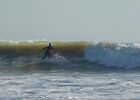ecole de surf bois plage ile de ré gros jonc.jpg