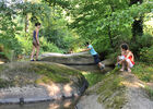 rocher-branlant-jardin-des-chirons-2000bressuirais (pw) 5292.jpg