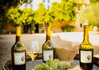 00078-mas des tourelles - beaucaire-photo aspheries.jpg