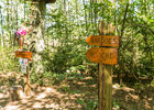 Accrobranche-9.jpg